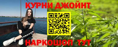 apvp Краснодар