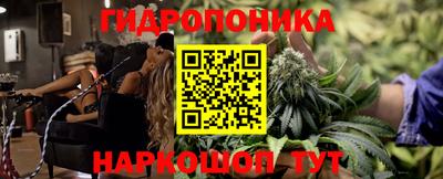 apvp Краснодар