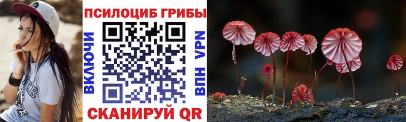 Галлюциногенные грибы Psilocybine cubensis  мега как зайти  Барабинск 