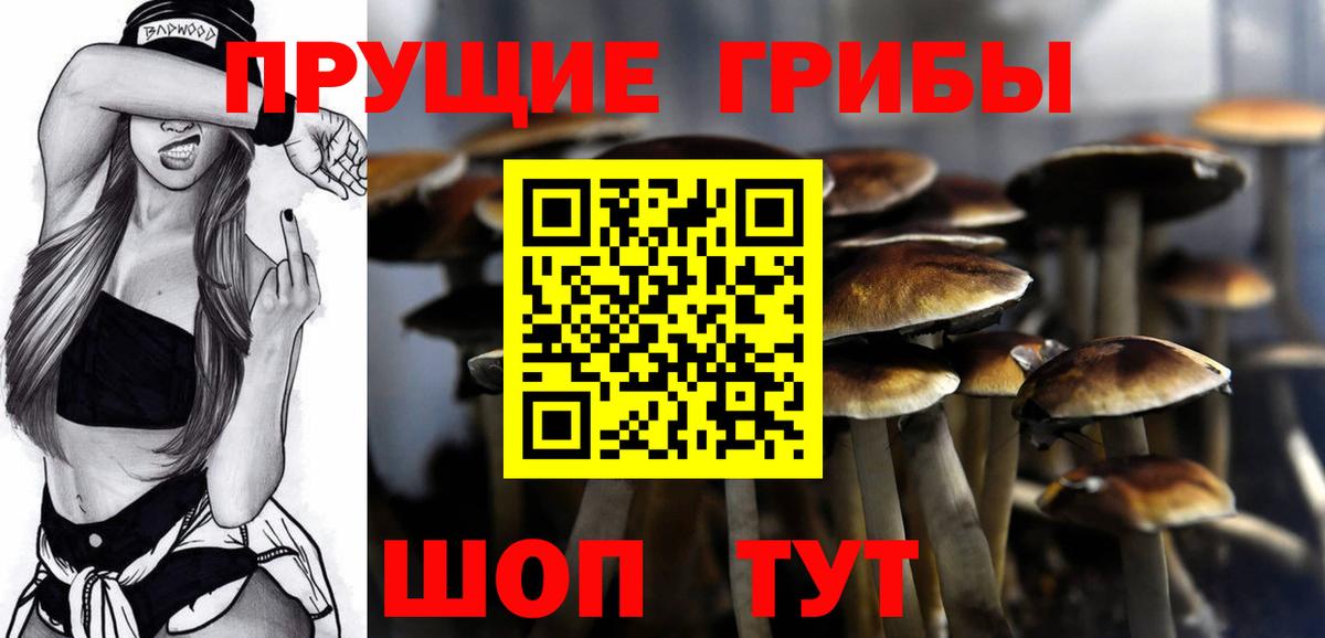 Галлюциногенные грибы Psilocybine cubensis  Вход с VPN  Барабинск  купить  сайты  Галлюциногенные грибы мицелий 